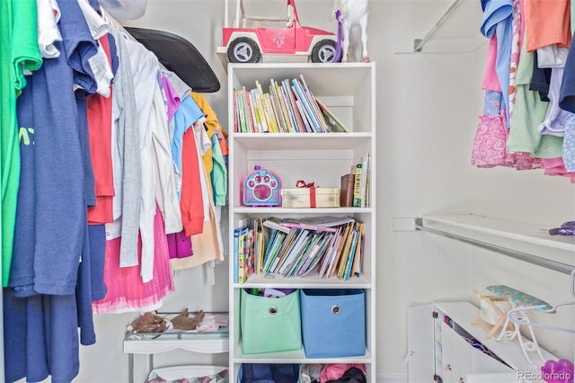 view of spacious closet