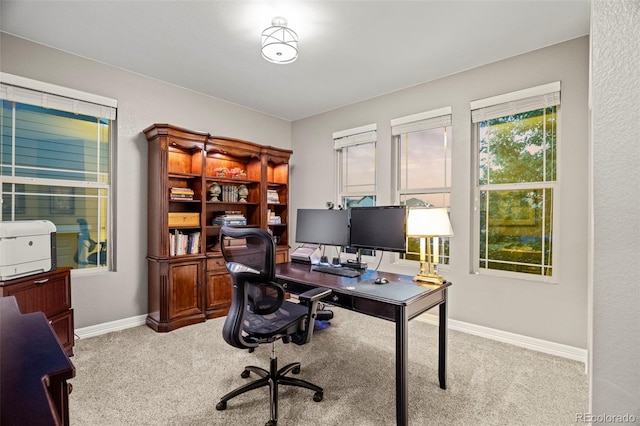 11855 Deorio St, Parker, CO 80134 - photo 19