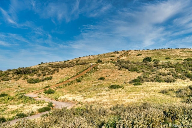11855 Deorio St, Parker, CO 80134 - photo 46