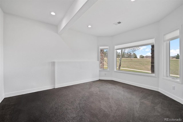 5602 Silver Bluff Ct, Parker, CO 80134 - photo 38