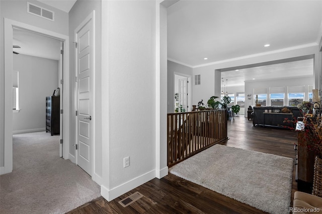 6456 Kenzie Cir, Castle Pines, CO 80108 - photo 4