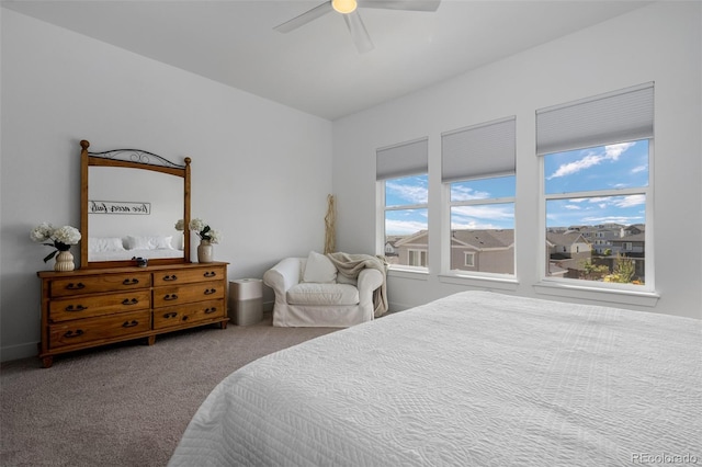 6456 Kenzie Cir, Castle Pines, CO 80108 - photo 17