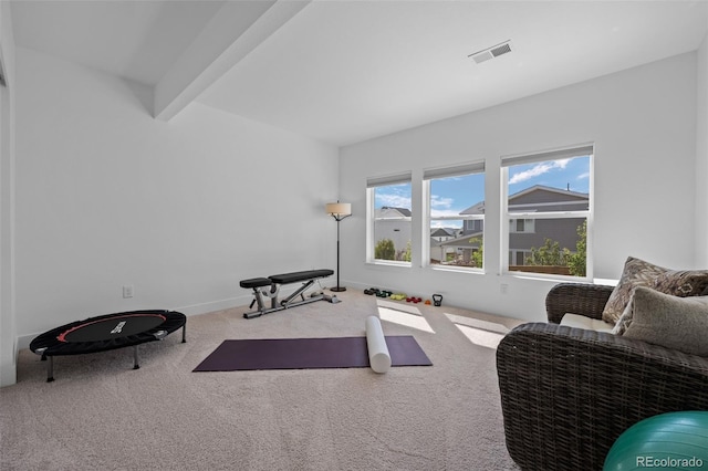 6456 Kenzie Cir, Castle Pines, CO 80108 - photo 34
