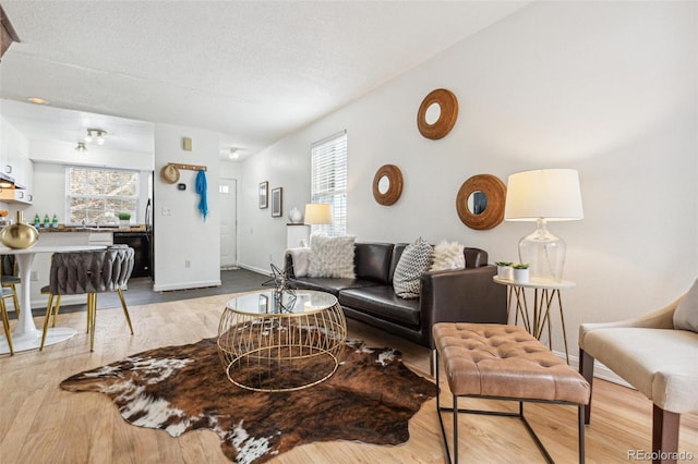 living room with hardwood / wood-style floors and a textured ceiling