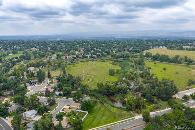 7964 Flower St, Arvada, CO 80005 - photo 41