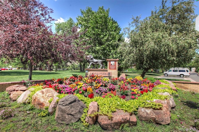 view of home's community with a lawn