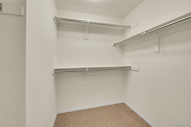 spacious closet with carpet