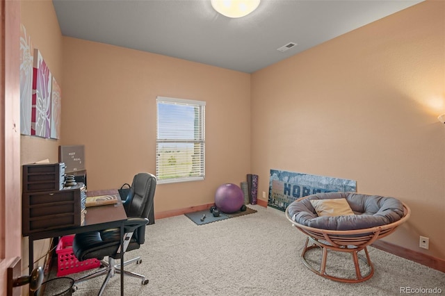 22350 Roxie Ridge Vw, Peyton, CO 80831 - photo 38