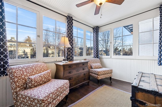 living area with ceiling fan, dark hardwood / wood-style flooring, and radiator heating unit