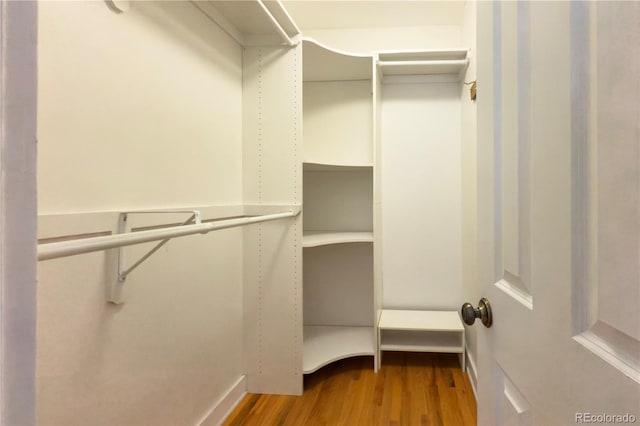 walk in closet with wood finished floors