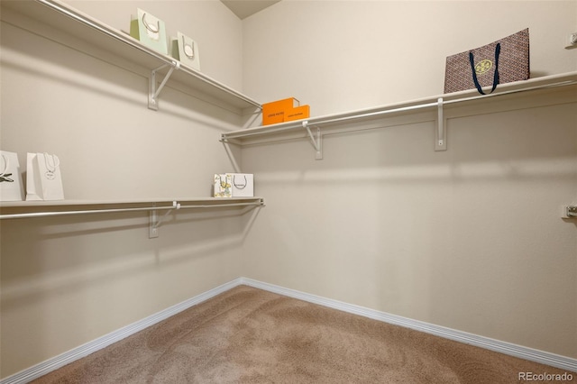 15414 Xenia Ct, Thornton, CO 80602 - spacious closet featuring carpet