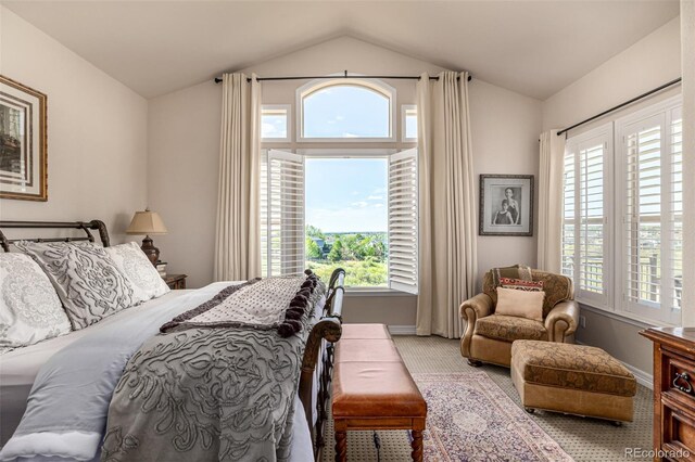 bedroom featuring carpet flooring, lofted ceiling, and baseboards