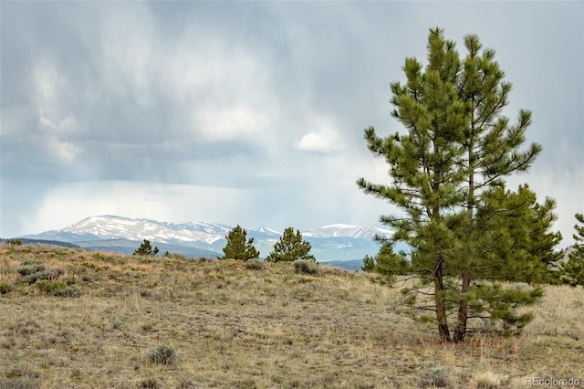 244 Lariat Loop, Hartsel, CO 80449 - view of mountain background