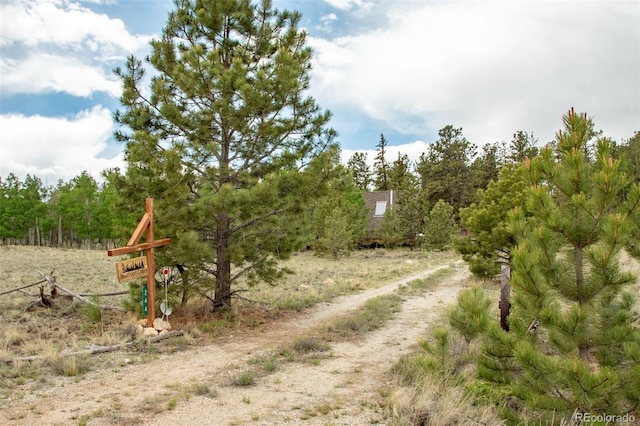 244 Lariat Loop, Hartsel, CO 80449 - view of street