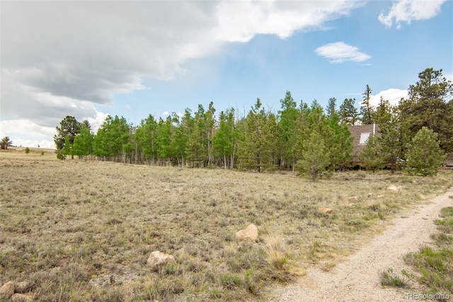 244 Lariat Loop, Hartsel, CO 80449 - view of nature