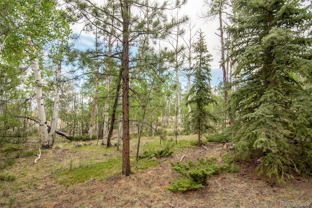 244 Lariat Loop, Hartsel, CO 80449 - view of local wilderness