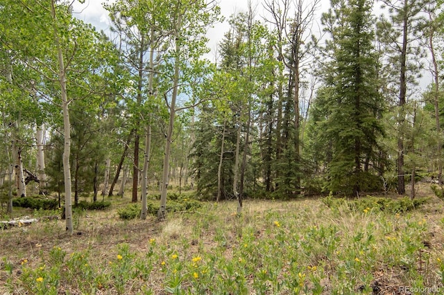 244 Lariat Loop, Hartsel, CO 80449 - view of undeveloped land