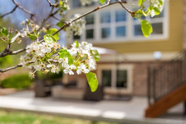 25362 E Indore Dr, Aurora, CO 80016 - detailed view
