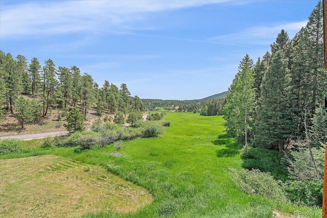 27612 Shadow Mountain Dr, Conifer, CO 80433 - photo 4