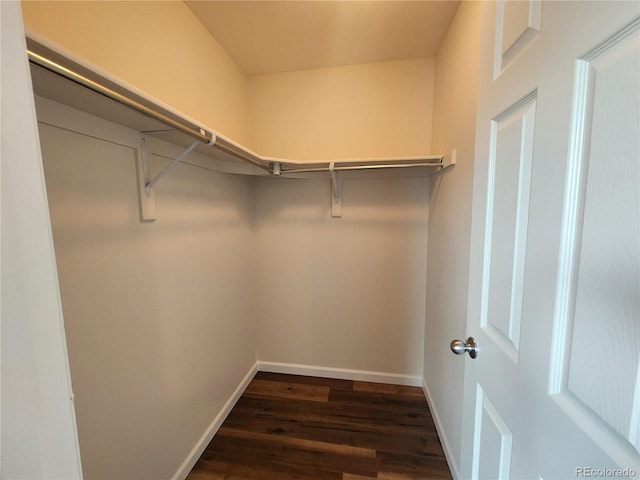 walk in closet with dark wood-type flooring