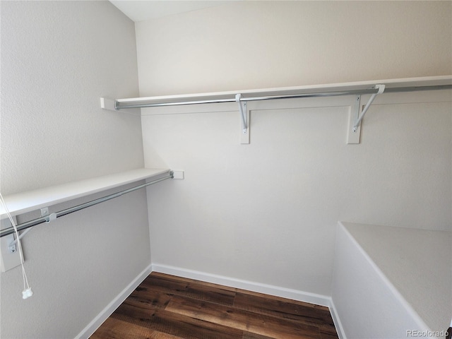 walk in closet with dark wood finished floors
