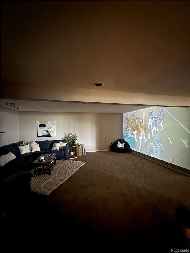 view of carpeted home theater room