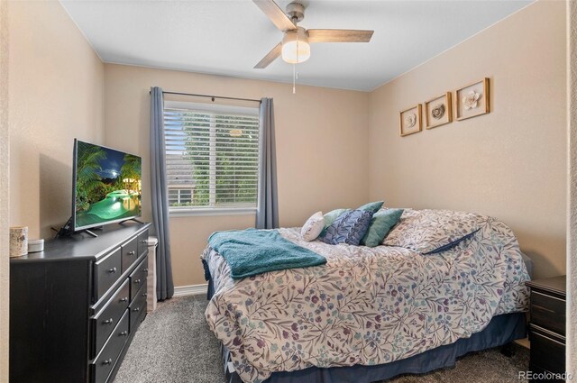 5161 Chicory Cir, Brighton, CO 80601 - photo 26