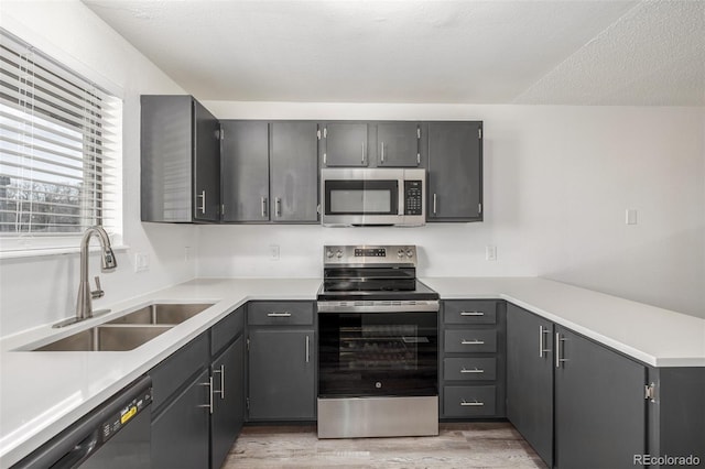 kitchen with stainless steel appliances, sink, light hardwood / wood-style flooring, and gray cabinetry