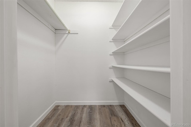 walk in closet with dark hardwood / wood-style flooring