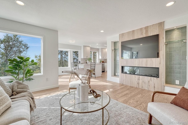 living room with a large fireplace and light hardwood / wood-style floors