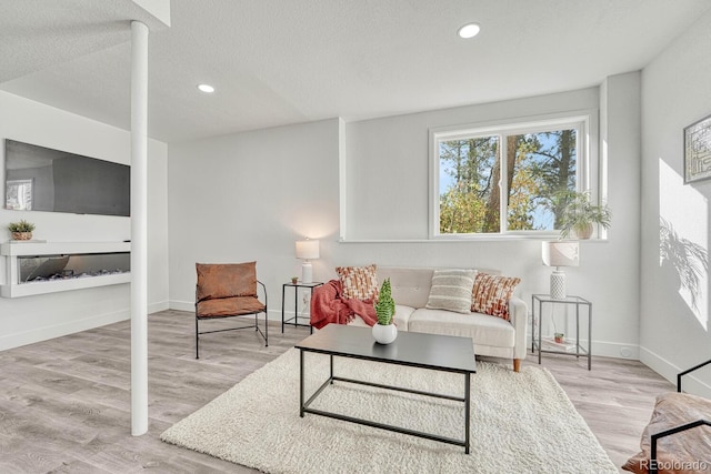 living room featuring light hardwood / wood-style floors