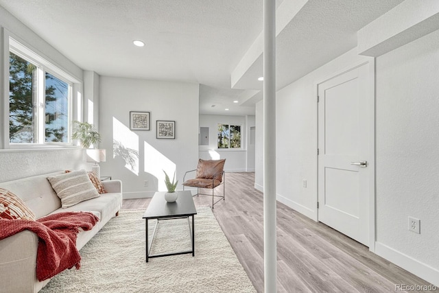 living room with light wood-type flooring