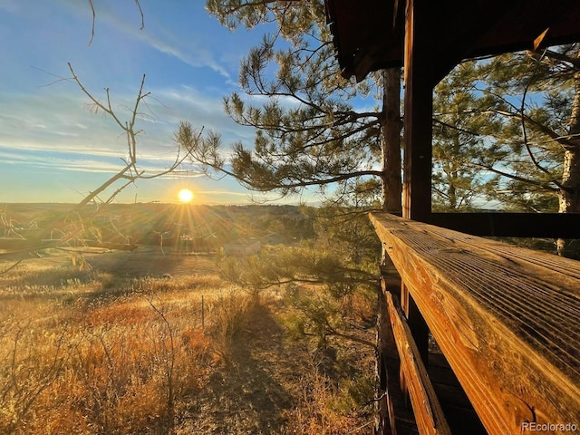 yard at dusk featuring a rural view