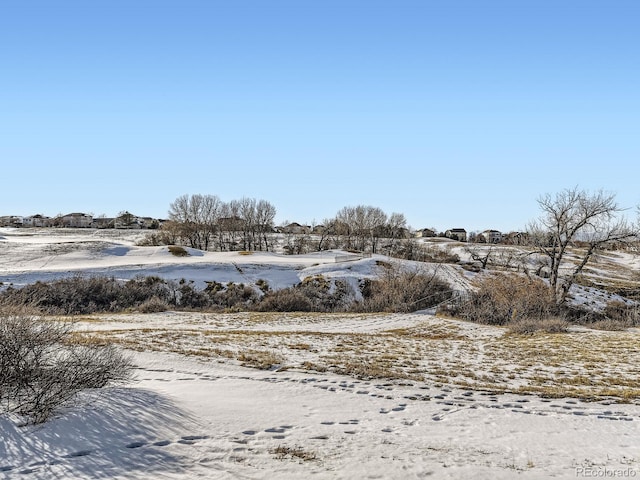 view of snowy yard