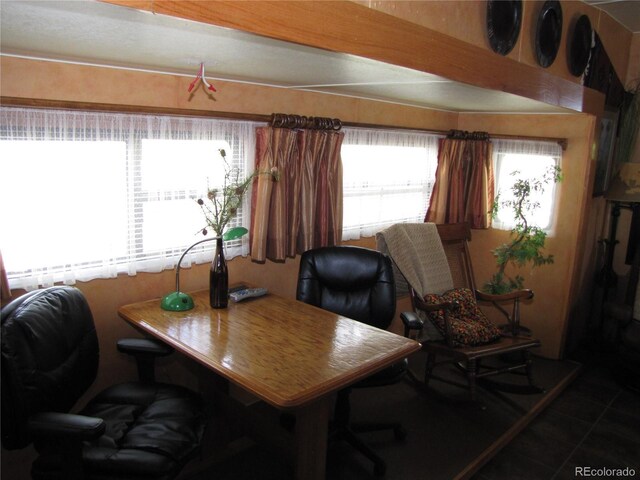 545 Depot Dr, Hartsel, CO 80449 - photo 6