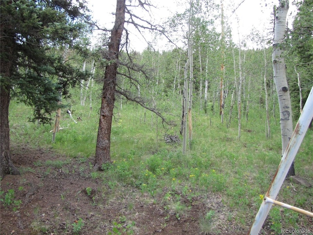 545 Depot Dr, Hartsel, CO 80449 - photo 22