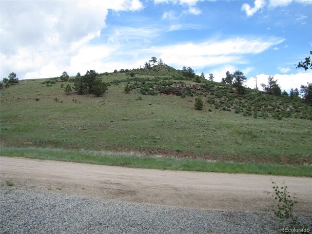545 Depot Dr, Hartsel, CO 80449 - photo 25