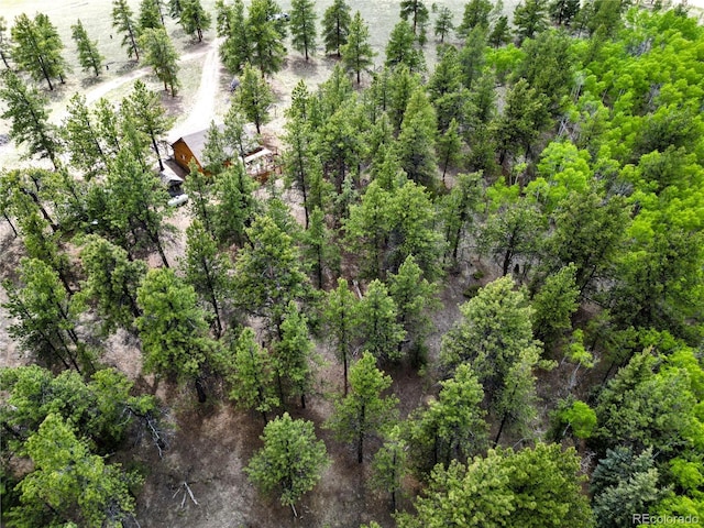 148 Wakonda Ln, Hartsel, CO 80449 - aerial view of property and surrounding area