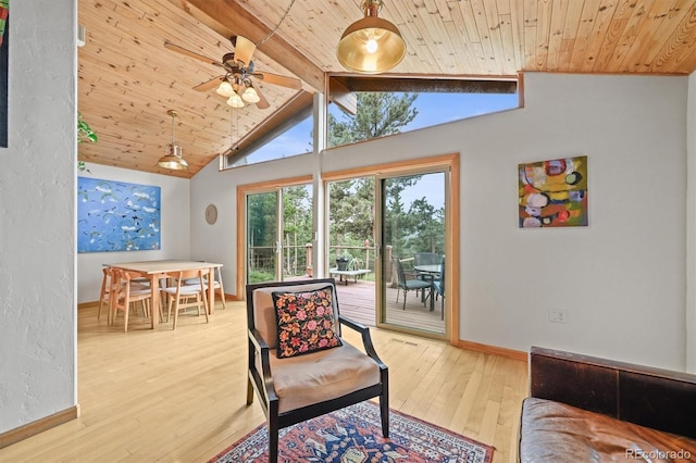 546 Haul Rd, Nederland, CO 80466 - photo 10