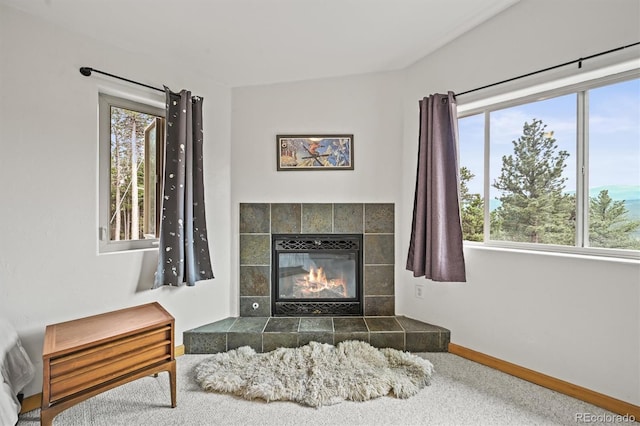 546 Haul Rd, Nederland, CO 80466 - photo 23