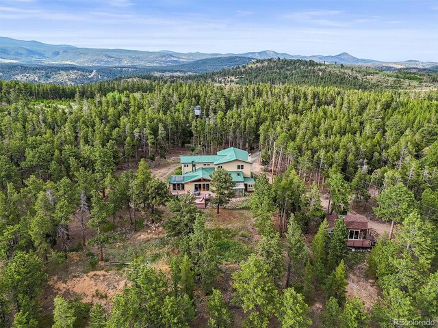 546 Haul Rd, Nederland, CO 80466 - photo 41