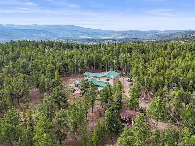 546 Haul Rd, Nederland, CO 80466 - photo 42