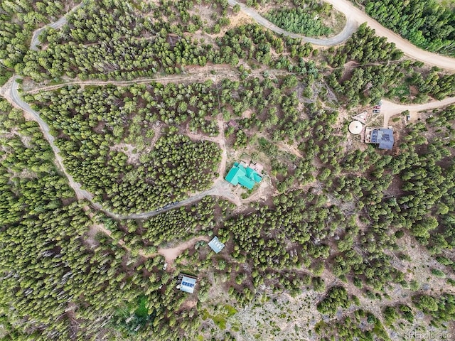 546 Haul Rd, Nederland, CO 80466 - photo 43