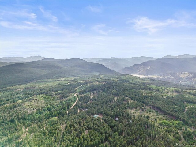 546 Haul Rd, Nederland, CO 80466 - photo 44