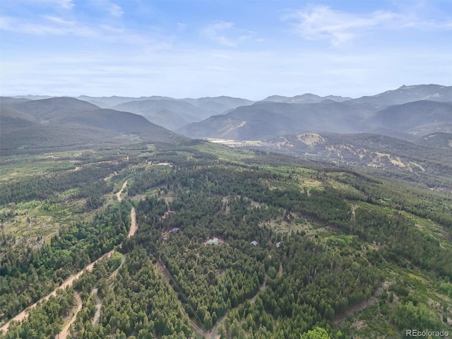 546 Haul Rd, Nederland, CO 80466 - photo 46