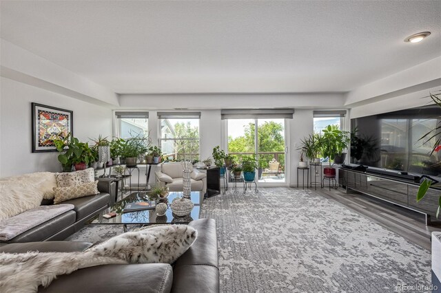 6260 Everett Ct Unit D, Arvada, CO 80004 - living area with wood finished floors and plenty of natural light