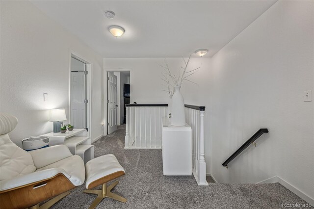 6260 Everett Ct Unit D, Arvada, CO 80004 - living room with carpet floors and baseboards