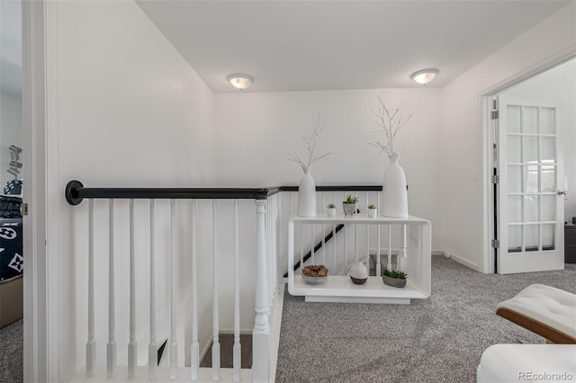 6260 Everett Ct Unit D, Arvada, CO 80004 - stairway with carpet