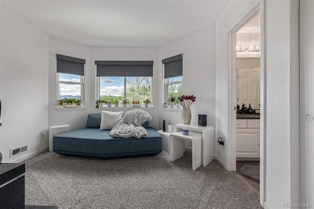 6260 Everett Ct Unit D, Arvada, CO 80004 - sitting room featuring carpet floors and healthy amount of natural light