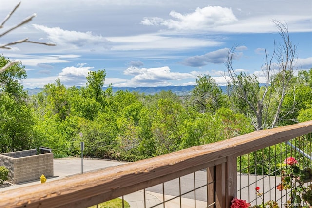 6260 Everett Ct Unit D, Arvada, CO 80004 - view of mountain background
